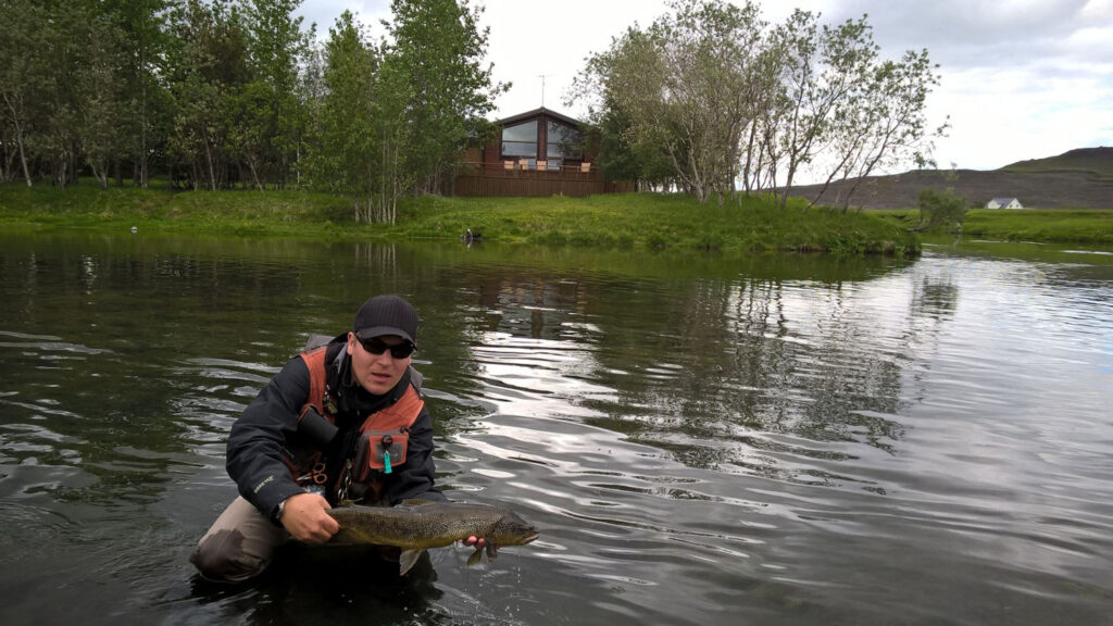 Wild native trout at Minnivallalækur river
